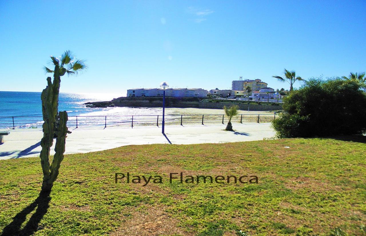 Dehesa de Campoamor  Apartment With Large Roof Solarium מראה חיצוני תמונה