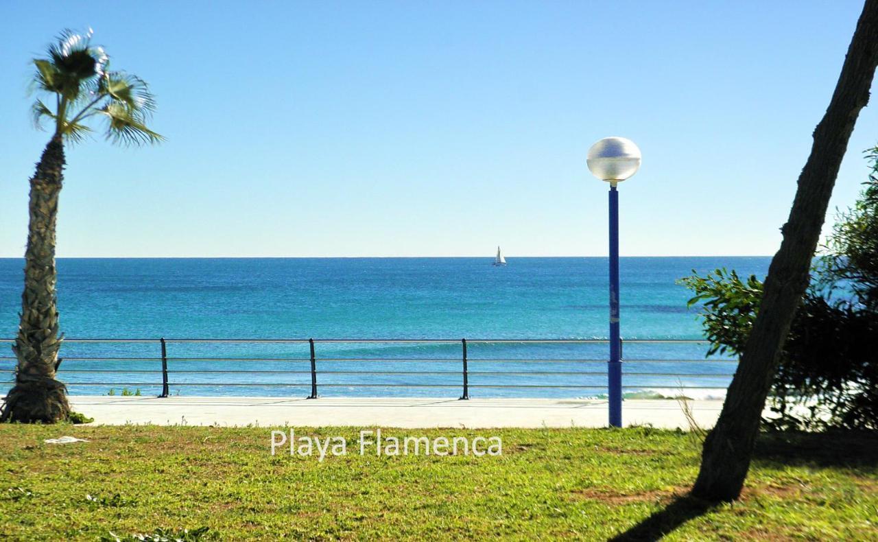 Dehesa de Campoamor  Apartment With Large Roof Solarium מראה חיצוני תמונה